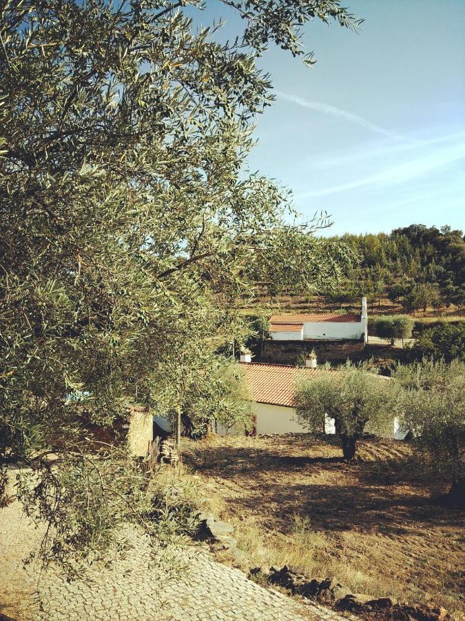 Casa De Pimenteis Villa Vimioso Buitenkant foto